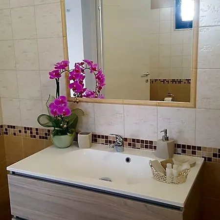 Bed and breakfast Alimar